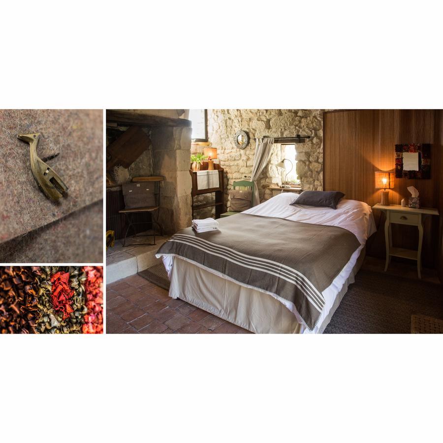 Bed and Breakfast La Grande Maison D'Arthenay Сомюр Екстер'єр фото